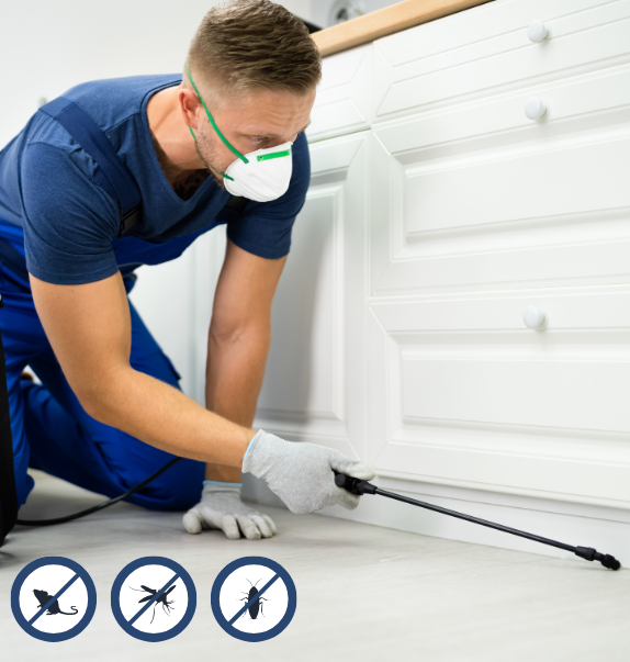 Ecotec Dedetizadora e Desentupidora - Dedetização